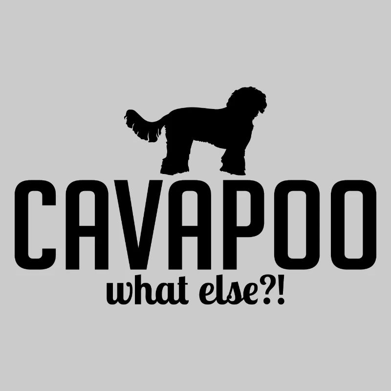 Cavapoo quoi d’autre chien disant chiens Wilsigns