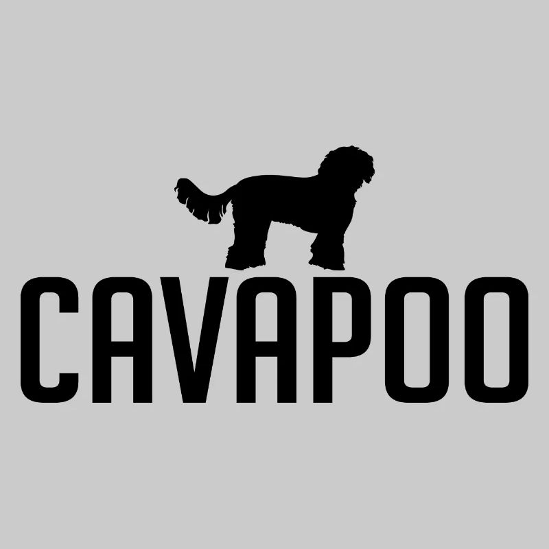 Cavapoo Dog races Chiens Wilsigns