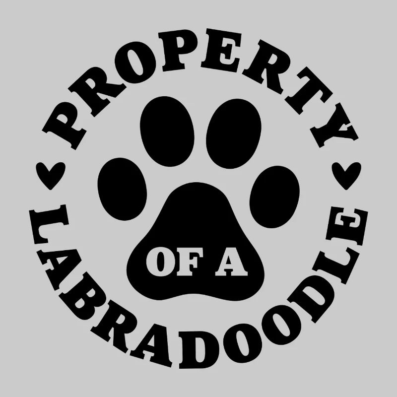 Propriété d’un Labradoodle