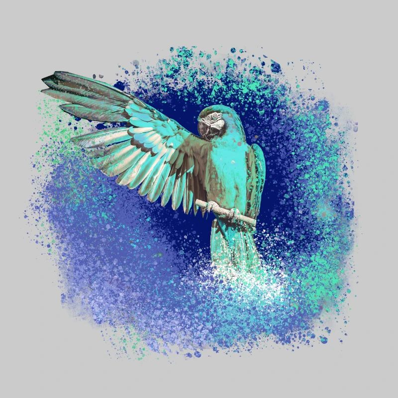 perfich ara,oiseau,graffiti,mint,bleu,brush,spray