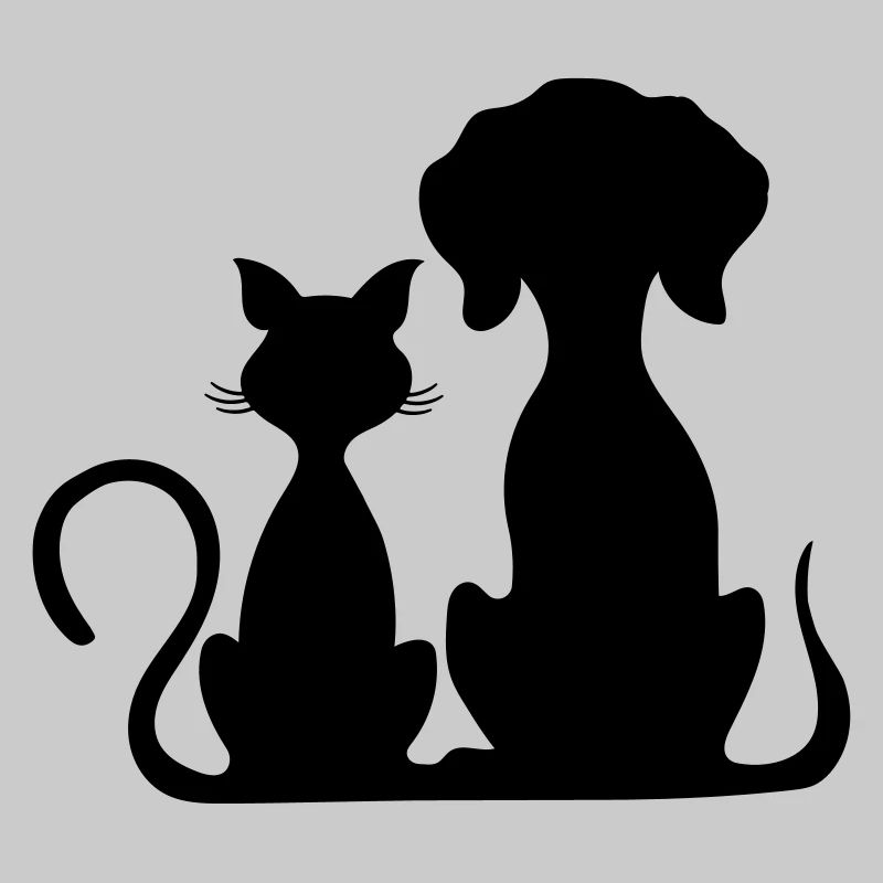 chien et chat
