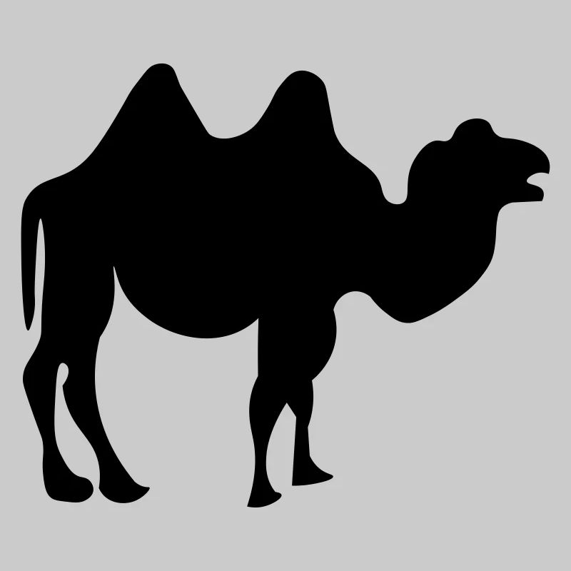 Camel design
