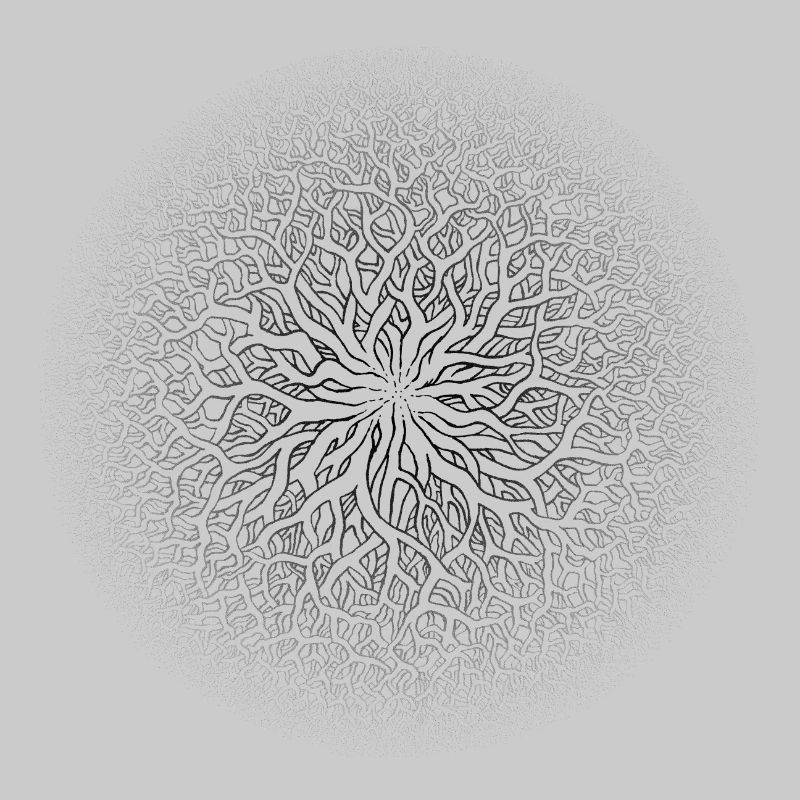 Root circle black