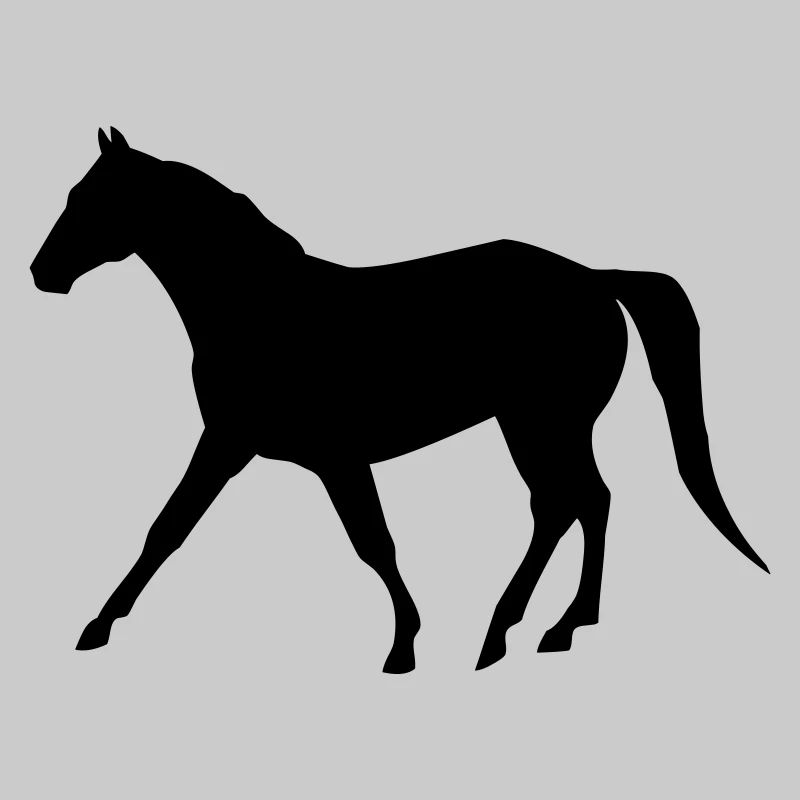 pferd
