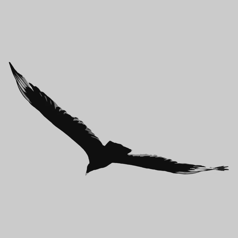 Flying eagle