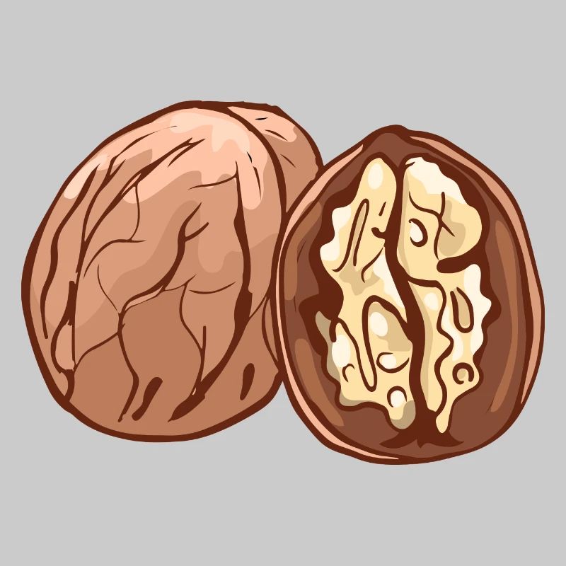 Real walnut nuts nut walnutwalnuts
