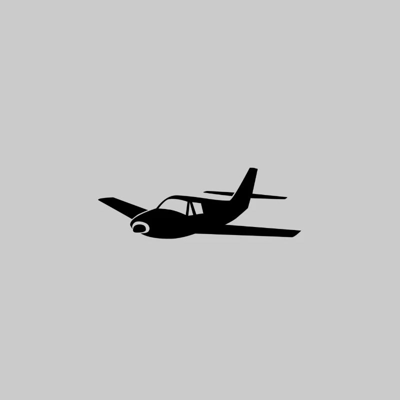 Flugzeug