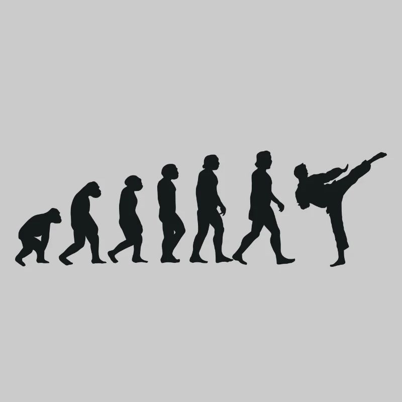 Évolution du karaté