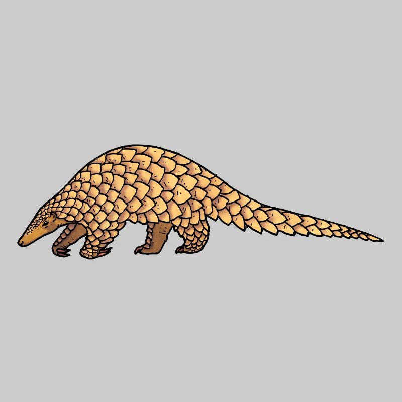 Pangolin 02