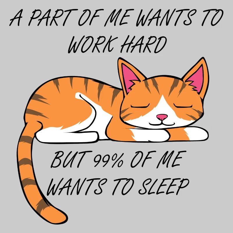 Travailler ou dormir excuse pour chat mignon