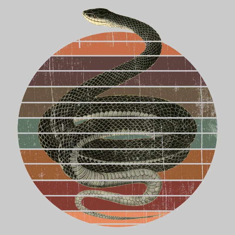 Snake Black Snake Coluber Constrictor