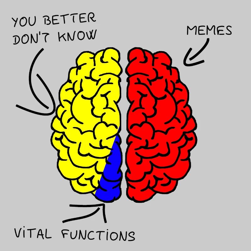 Brain - Brain - Memes