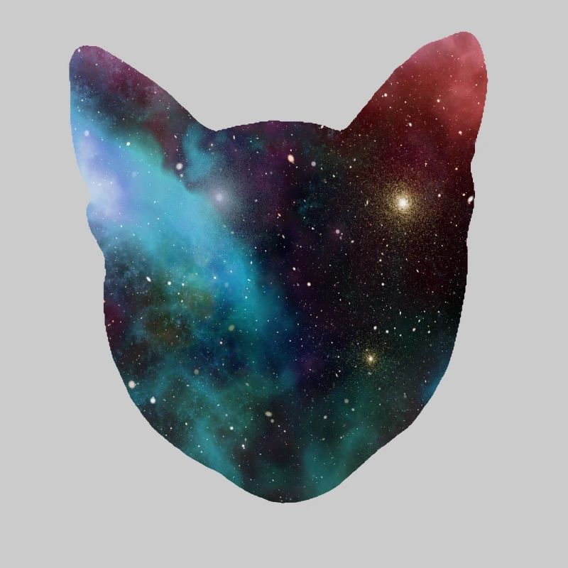space cat space cat gift
