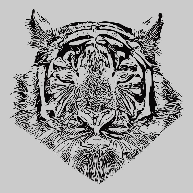 Tiger big cat with striped pattern