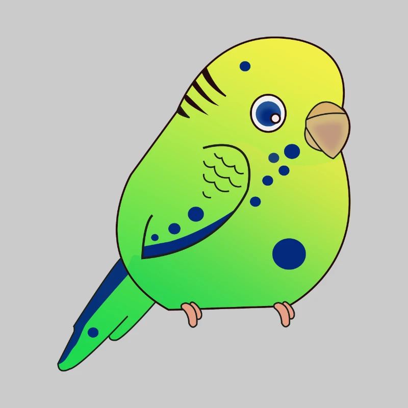 Budgerigar, Small Budgerigar