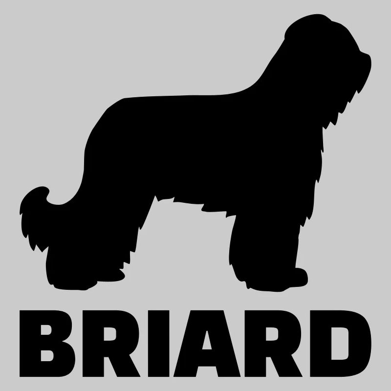 Briard