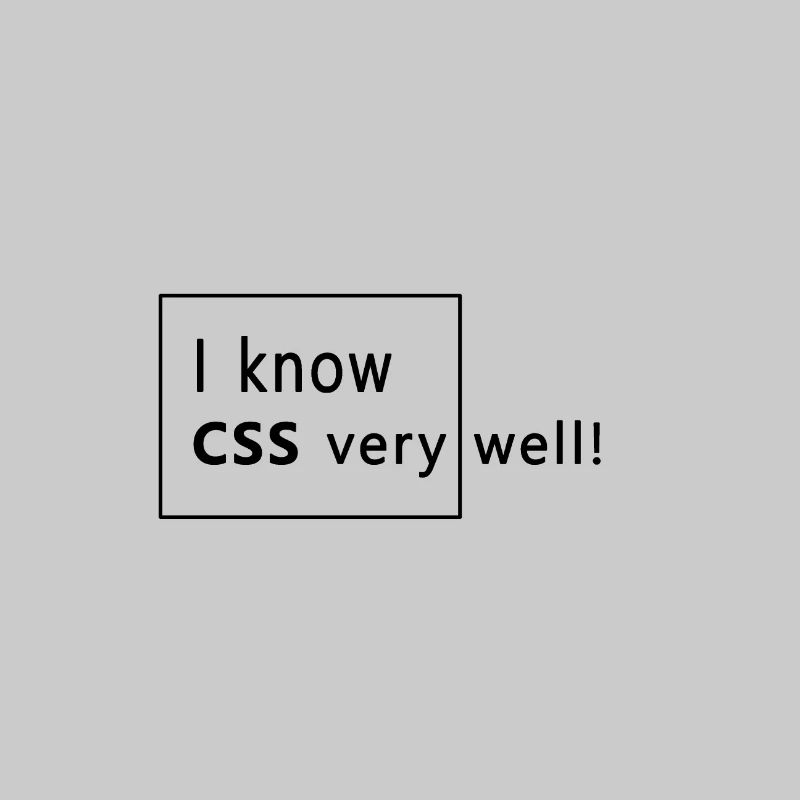 Je connais CSS.