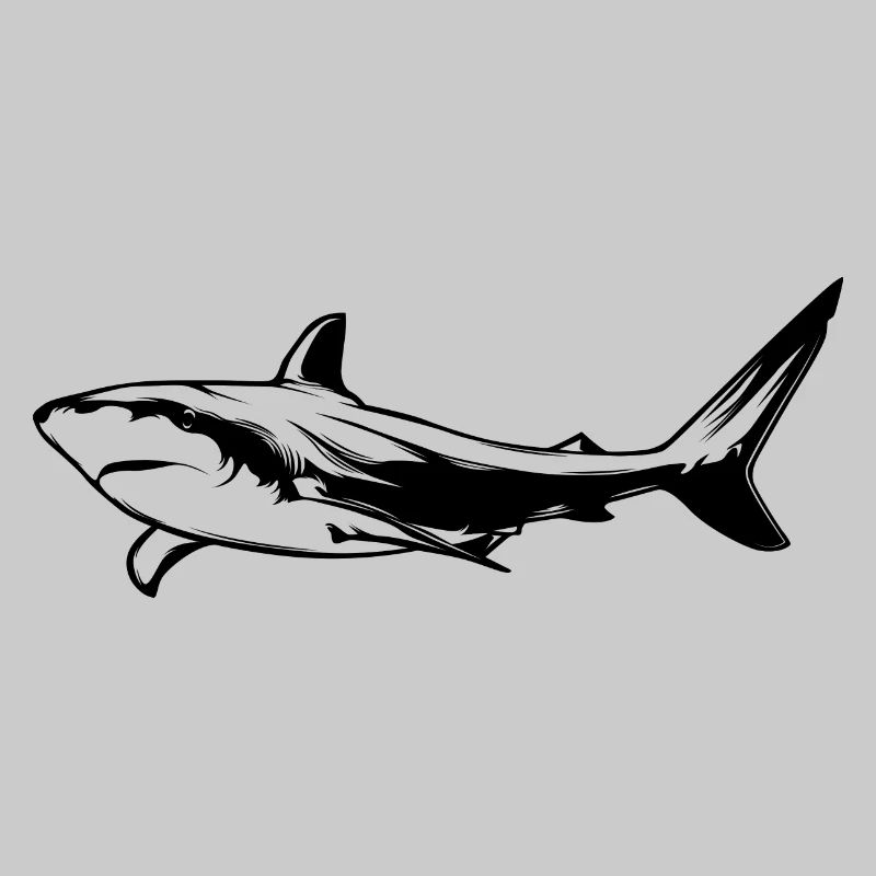 Silhouette d’animal de requin