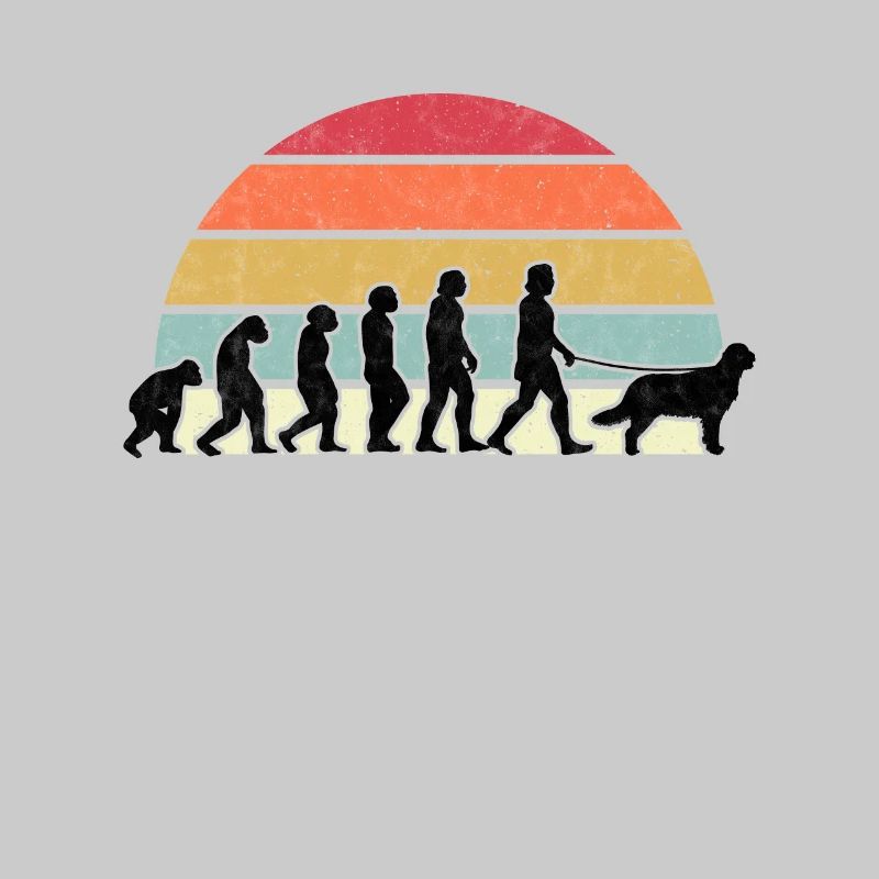 Flat Coated Retriever Evolution Retriever Cadeau