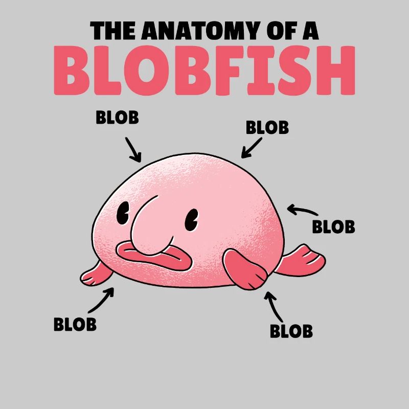 Blobfish Explication Anatomie d’un Blobfish