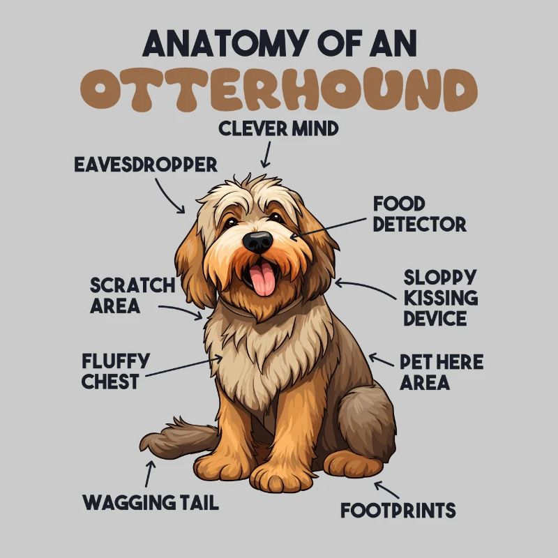 Explication du chien Anatomie d’un lévrier