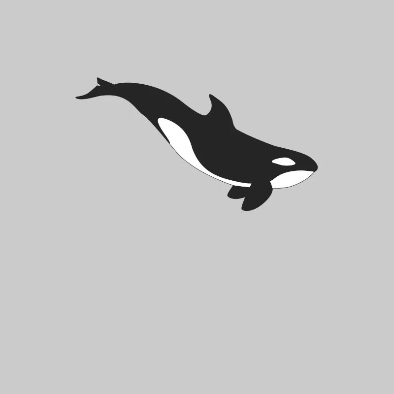 Orca whale