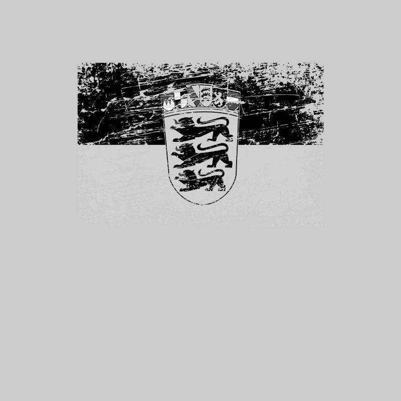 Bade-Wurtemberg Drapeau drapeau