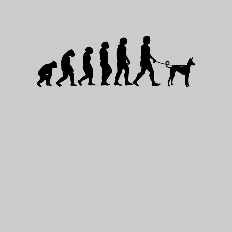 Podenco Evolution Spanish Hound Gift