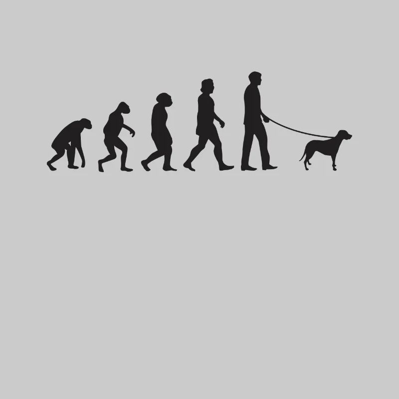 Brandlbracke Evolution Bracke chien de chasse