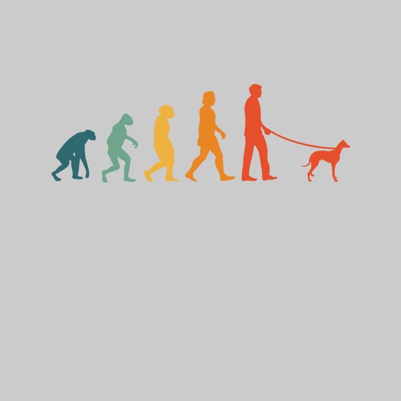 Whippet Evoluition Rétro lévriers Sighthound