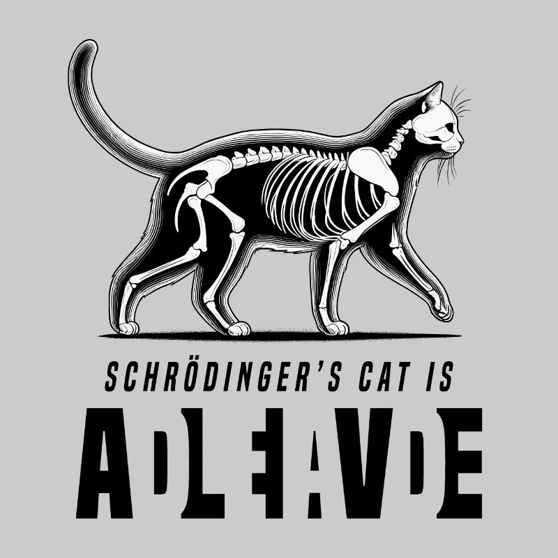 Chat de Schrödinger