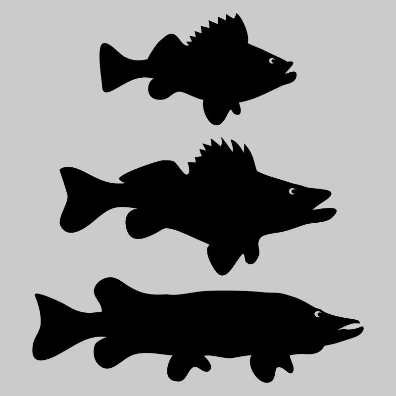 Perch - Zander - pike