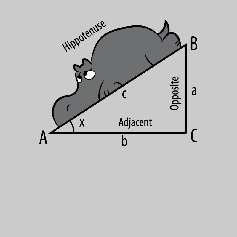 Mathe Pythagoras Hypothenuse Nilpferd Hippo