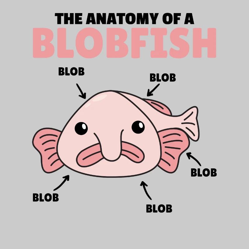 Blobfish Explication Anatomie d’un Blobfish