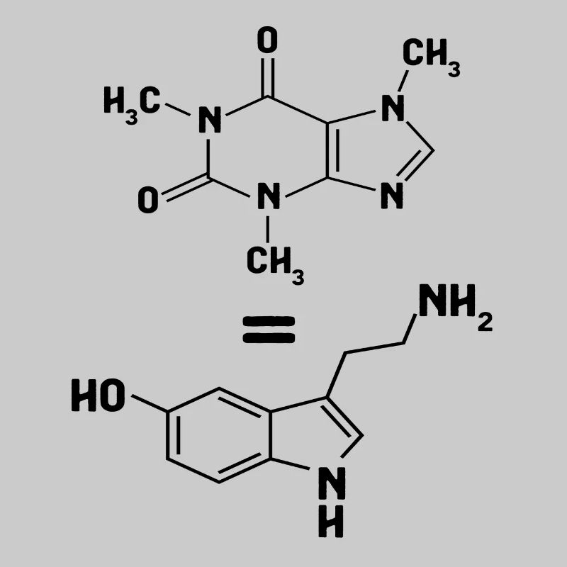 La caféine correspond à la molécule de sérotonine dopamine