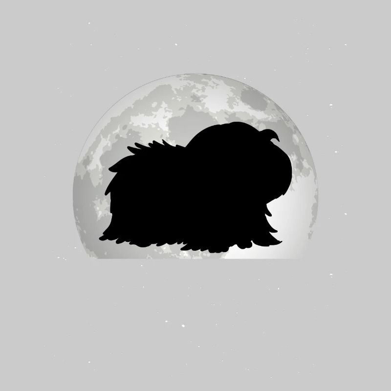 Cochon d’Inde Lune Cochon d’Inde Cochon d’Inde