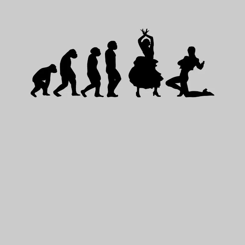 Flamenco Dancer Flamenco Dance Evolution
