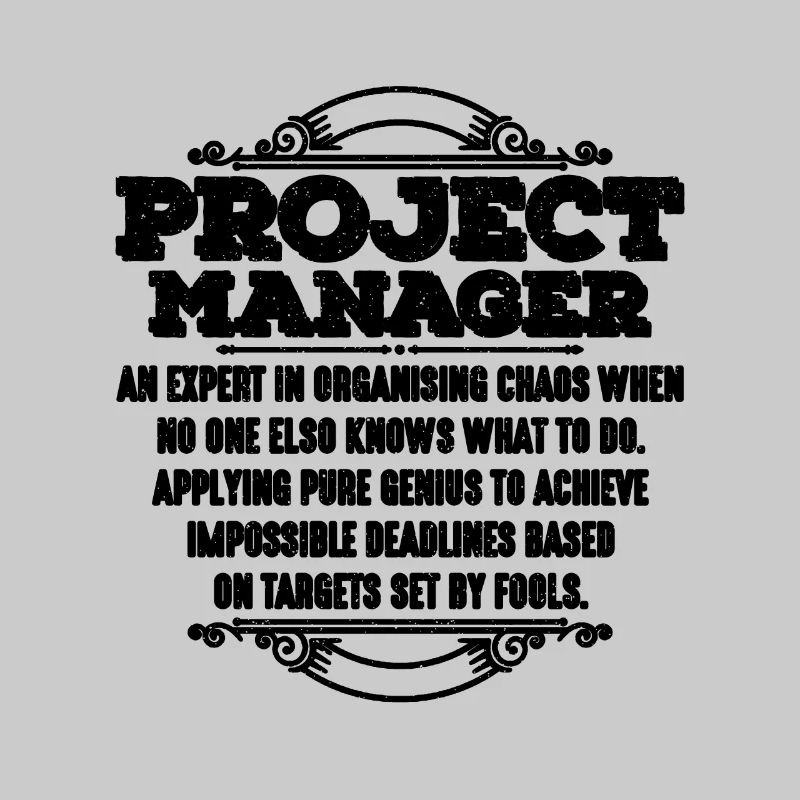 Chef de projet Un expert en chef d’équipe de projet