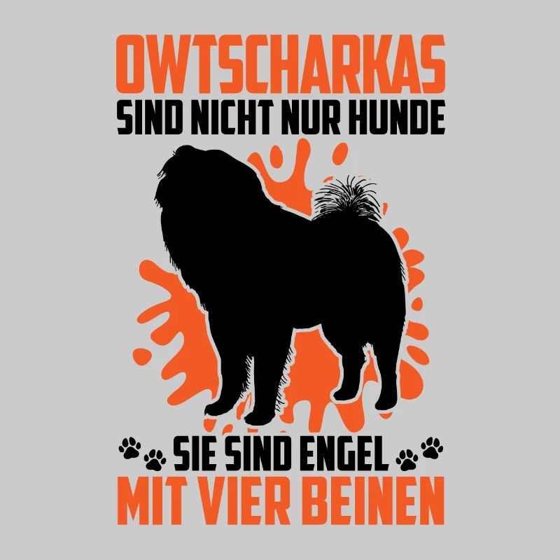 Owtscharka Habe einen Kaukasischer Owtscharka