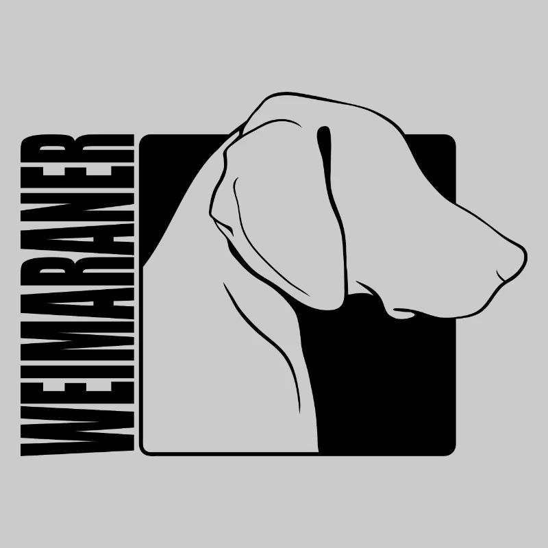 Weimaraner Profil Chiens Chiens de chasse Wilsigns
