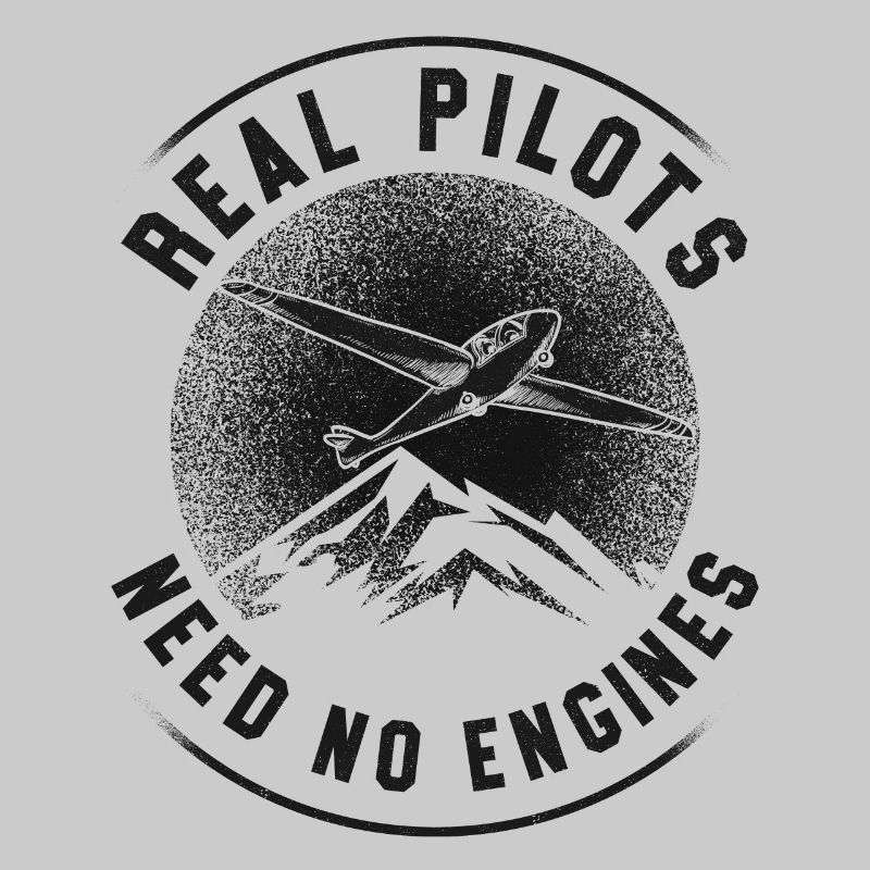 Airplane Pilot Glider Plane