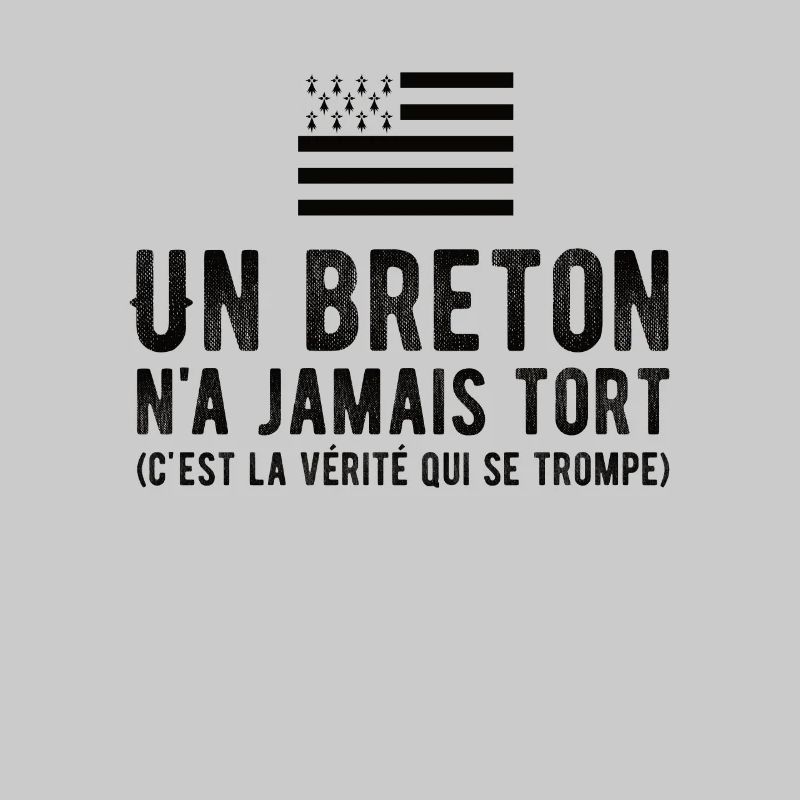 Flag Brittany a Breton is never wrong