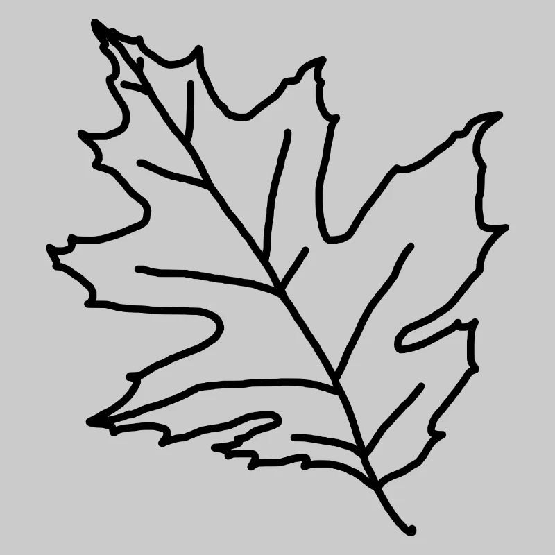 Maple Maple Leaf Maple Leaf Tree Forest Forest