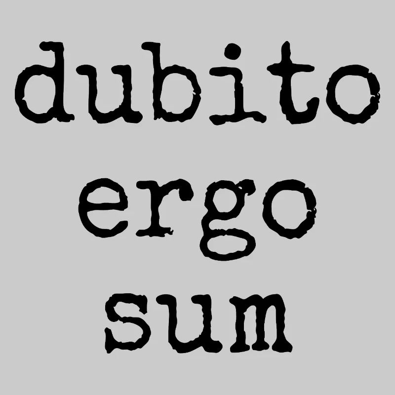 dubito ergo sum - ich zweifle also bin ich -Spruch