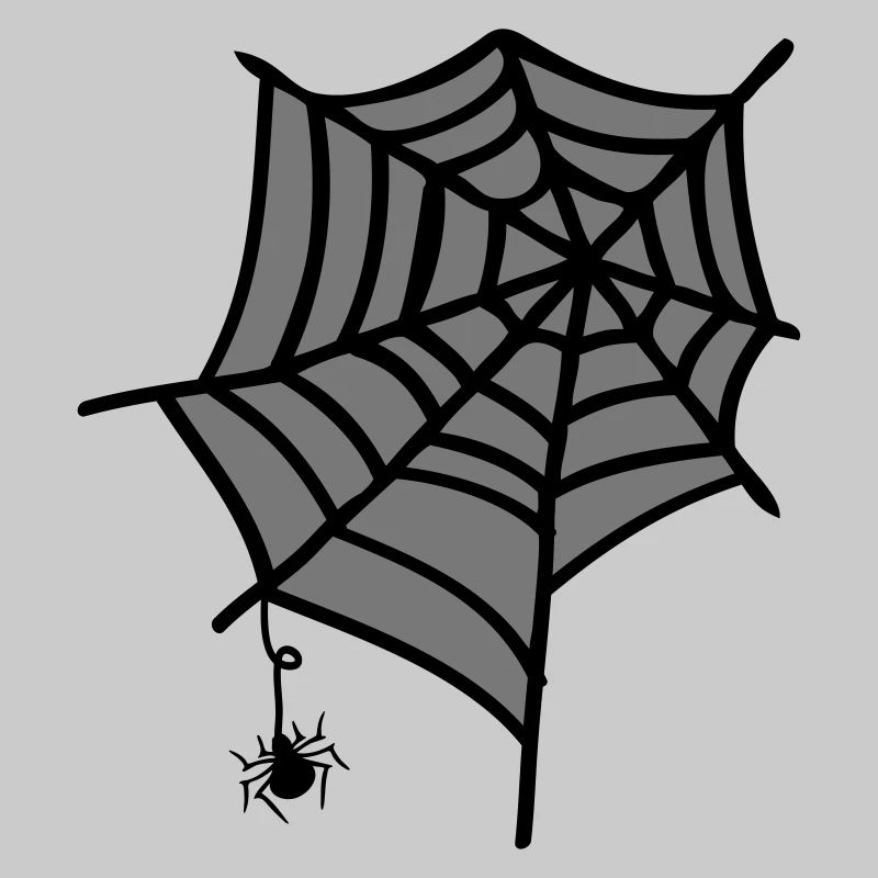 Spider web insect