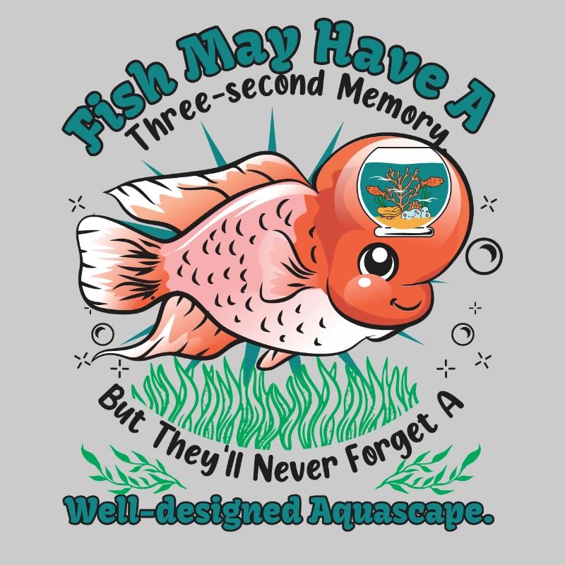 Fish may have a three-second memory