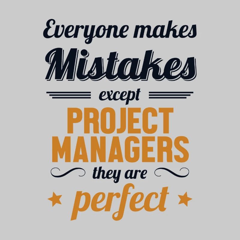 Project Manager are Perfect Project Engineer