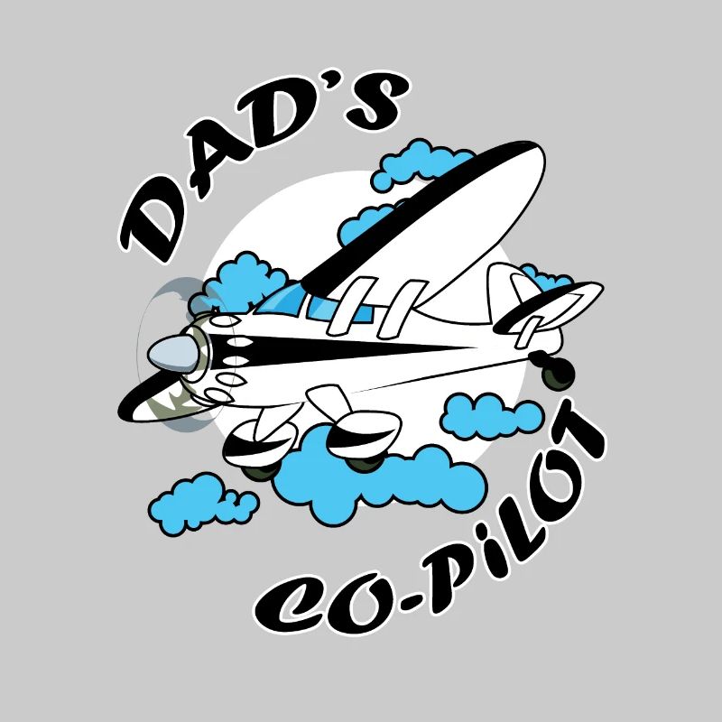 Co Pilot Pilot Aircraft