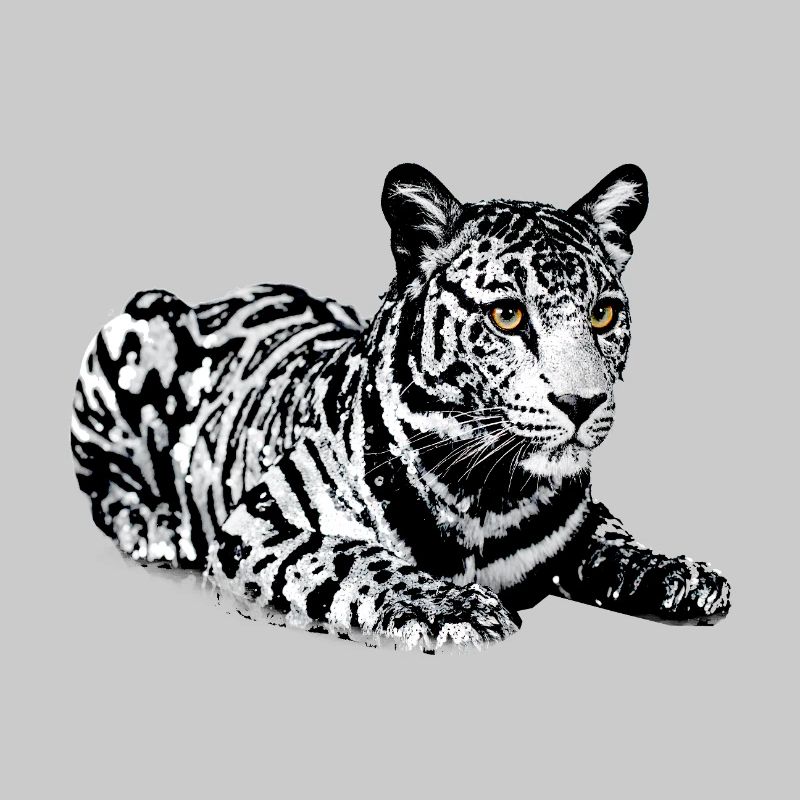 Tiger,leopard,sequins,glitter,black and white