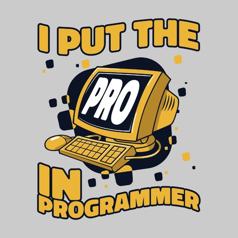 J’ai mis le pro dans Programmeur Developer Coder